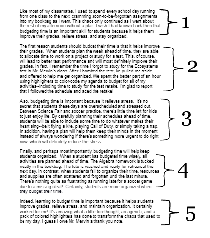 Essay Paragraphs